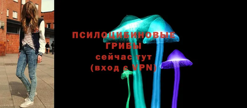 сколько стоит  shop как зайти  Псилоцибиновые грибы Magic Shrooms  Всеволожск 